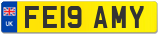 FE19 AMY
