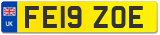 FE19 ZOE