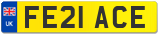 FE21 ACE