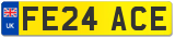 FE24 ACE