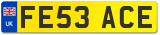 FE53 ACE