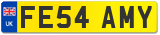 FE54 AMY