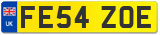 FE54 ZOE