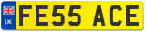 FE55 ACE