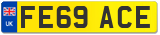 FE69 ACE