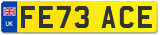 FE73 ACE