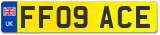 FF09 ACE