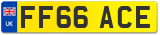 FF66 ACE