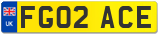 FG02 ACE