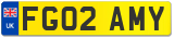 FG02 AMY