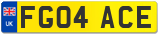FG04 ACE