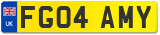 FG04 AMY