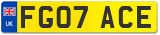 FG07 ACE