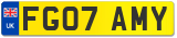 FG07 AMY