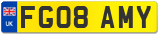 FG08 AMY