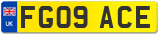 FG09 ACE