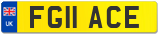 FG11 ACE
