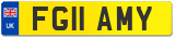 FG11 AMY