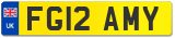 FG12 AMY