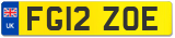 FG12 ZOE