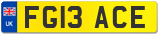 FG13 ACE