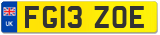 FG13 ZOE