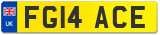 FG14 ACE
