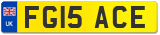 FG15 ACE