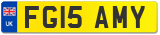 FG15 AMY