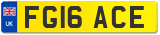 FG16 ACE