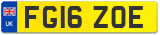 FG16 ZOE