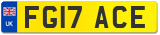 FG17 ACE