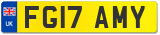 FG17 AMY