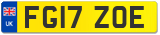 FG17 ZOE