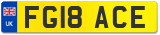 FG18 ACE