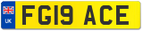FG19 ACE