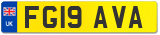 FG19 AVA