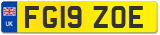 FG19 ZOE