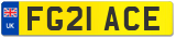 FG21 ACE