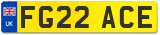 FG22 ACE