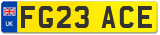 FG23 ACE