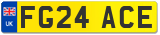 FG24 ACE
