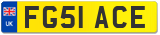 FG51 ACE