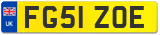 FG51 ZOE