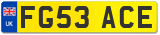 FG53 ACE