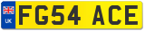 FG54 ACE