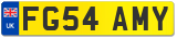 FG54 AMY