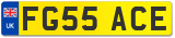 FG55 ACE