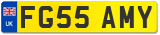 FG55 AMY