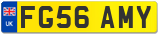 FG56 AMY